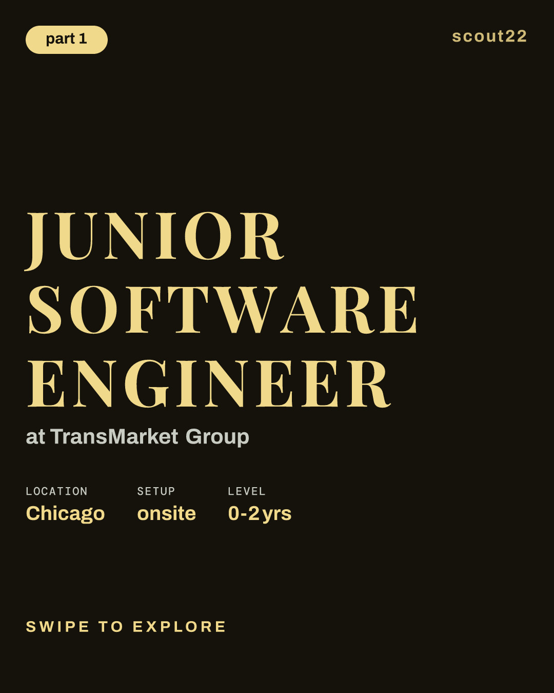 Junior Software Engineer at TransMarket Group