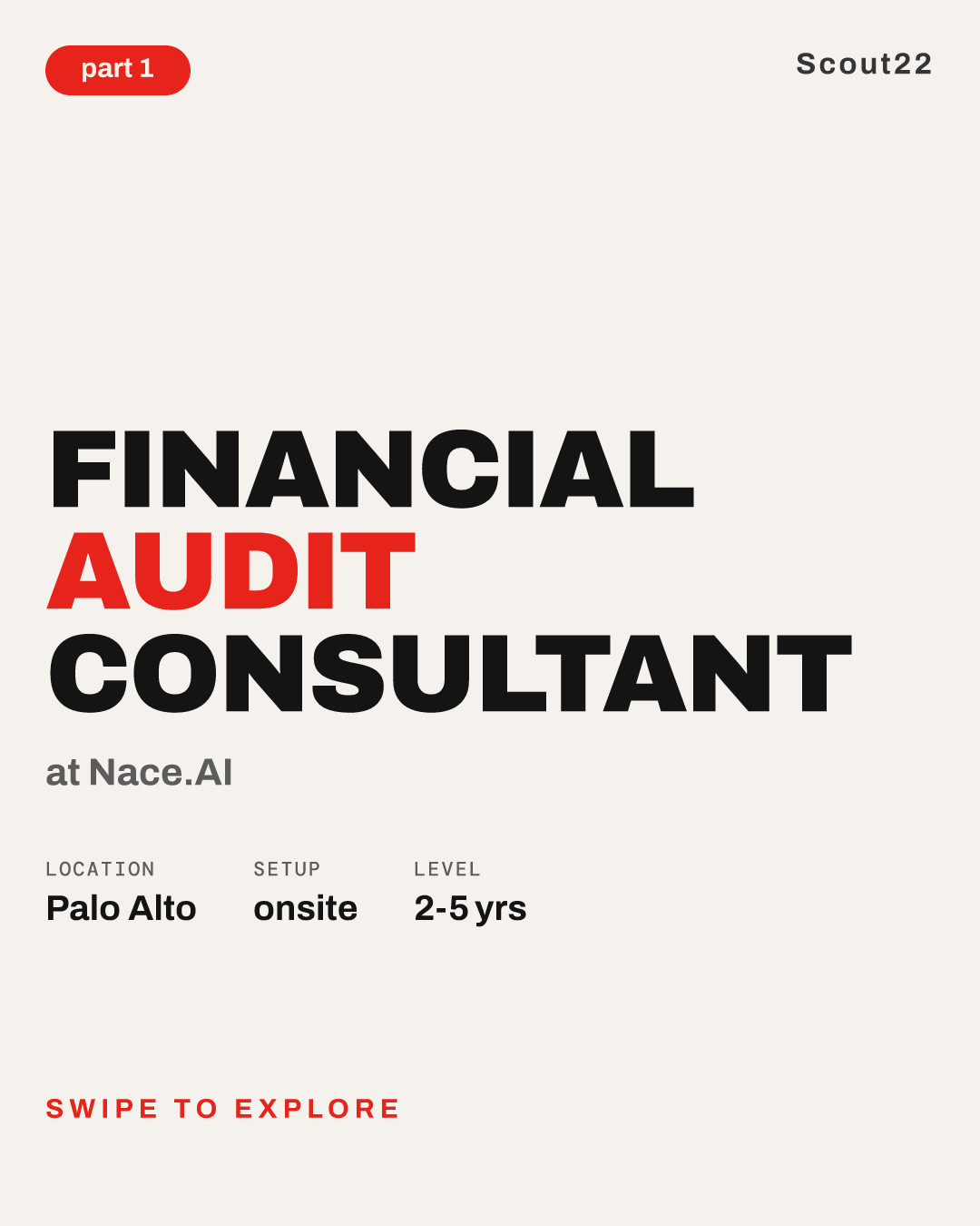 Financial Audit Consultant at Nace.AI