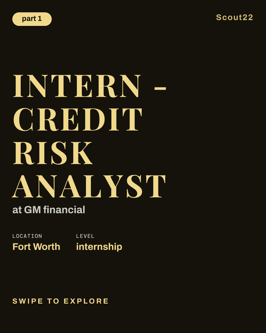 Intern - Credit Risk Analyst at GM financial