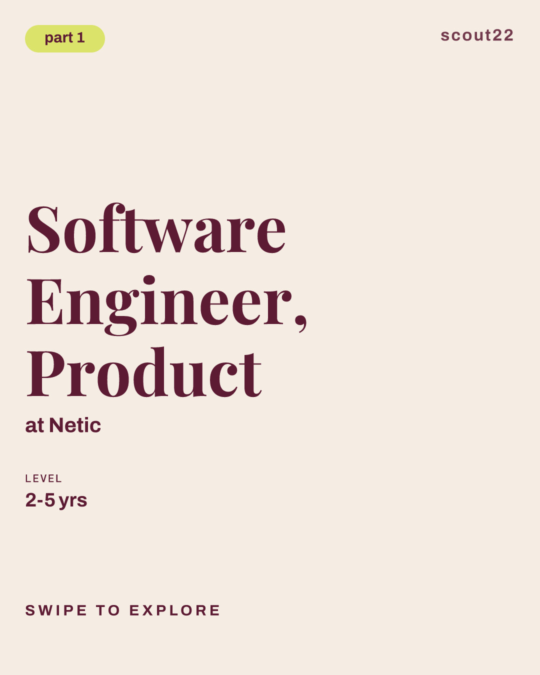 Software Engineer, Product at Netic