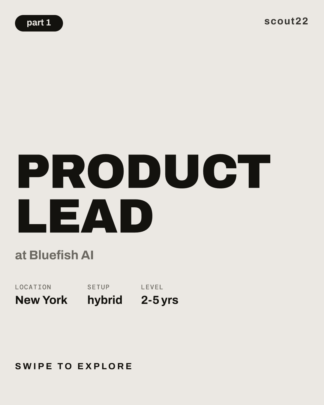Product Lead at Bluefish AI