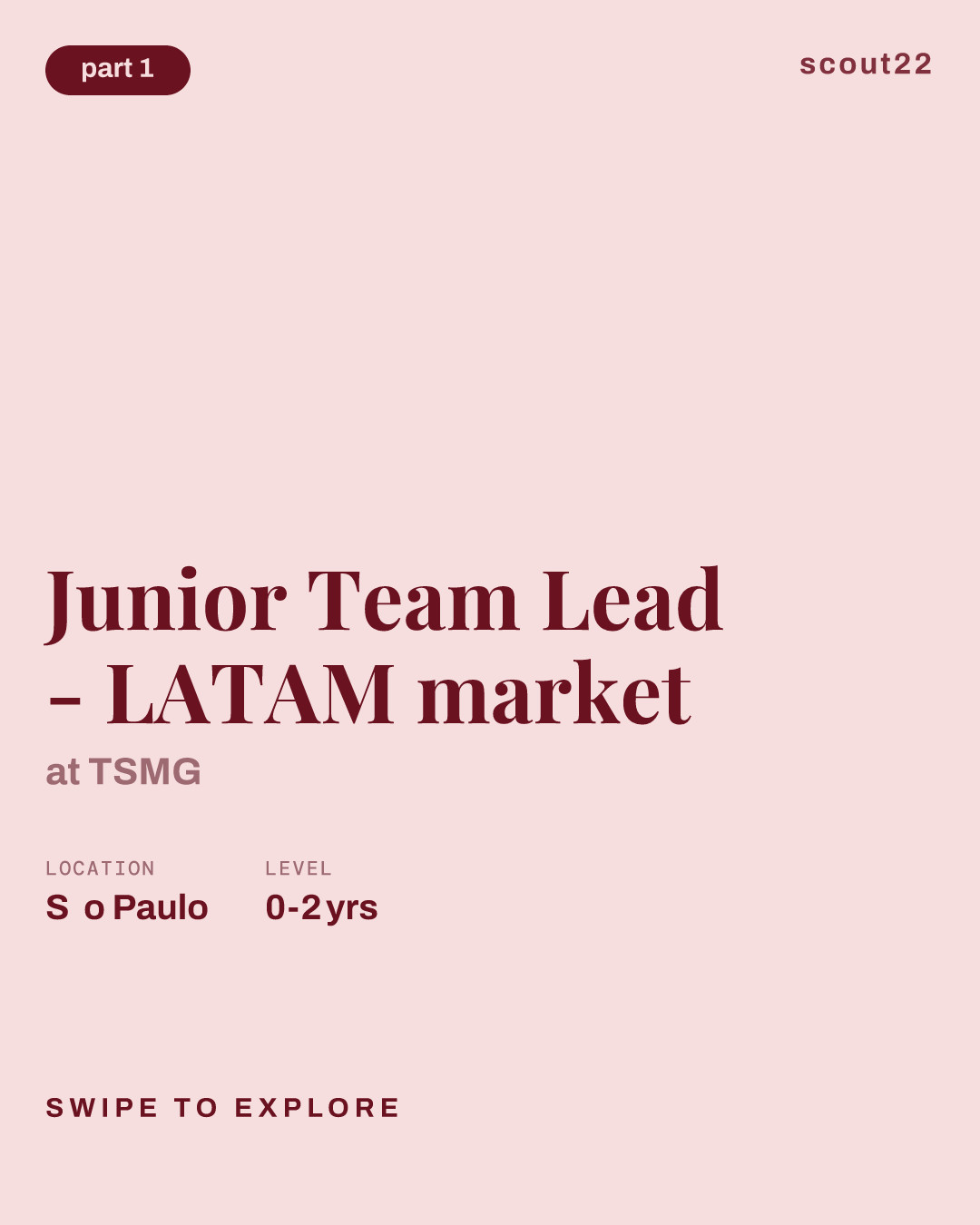 Junior Team Lead - LATAM market at TSMG
