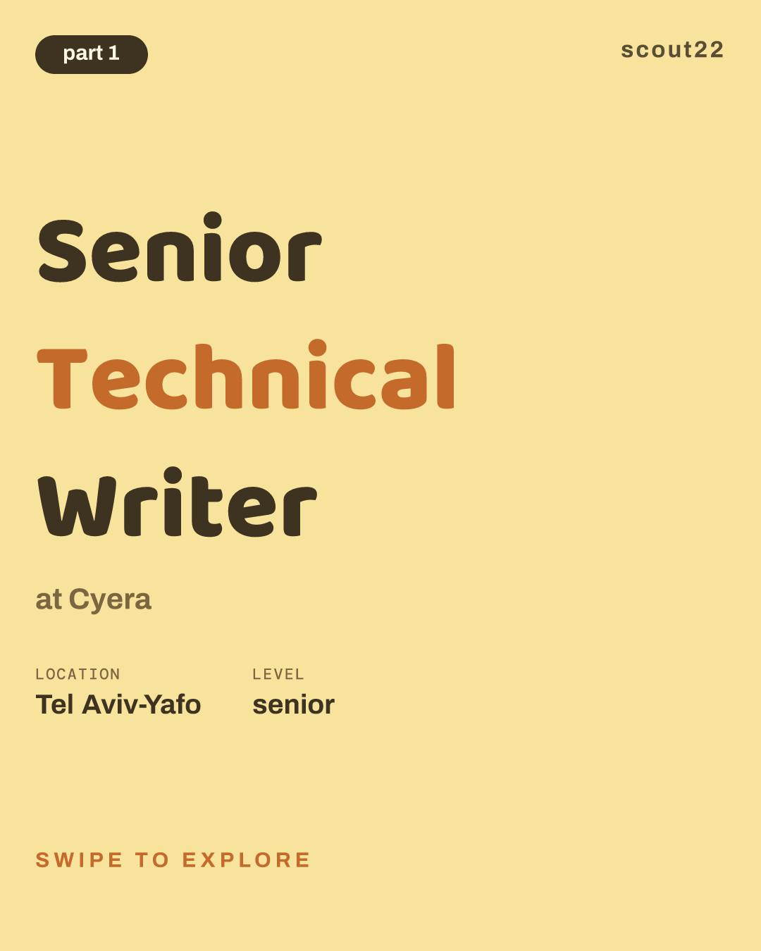 Senior Technical Writer at Cyera