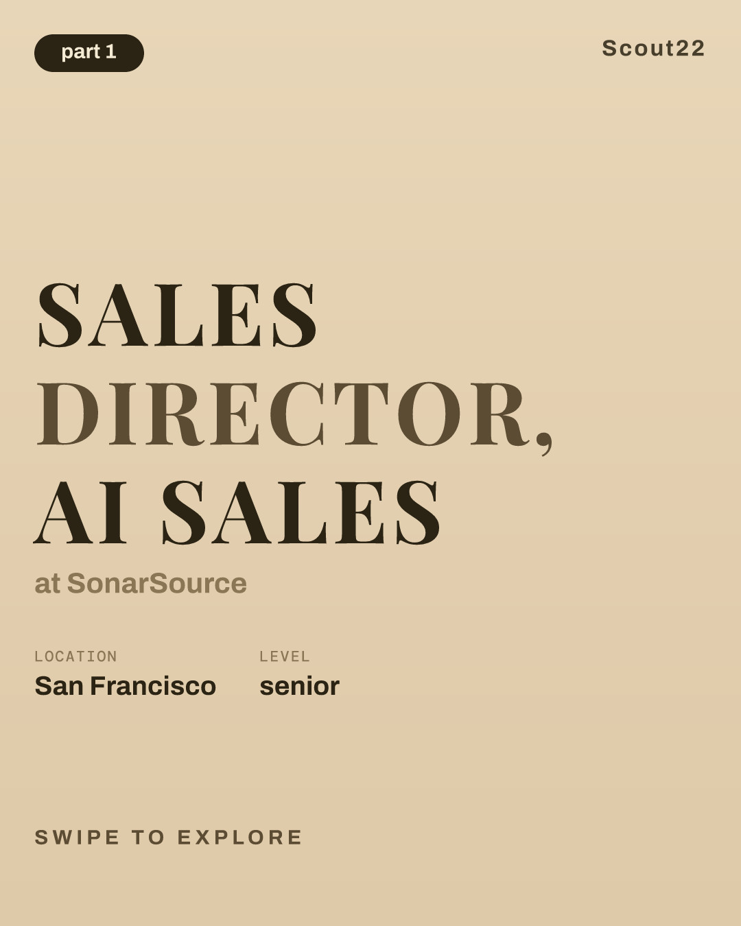 Sales Director, AI Sales at SonarSource