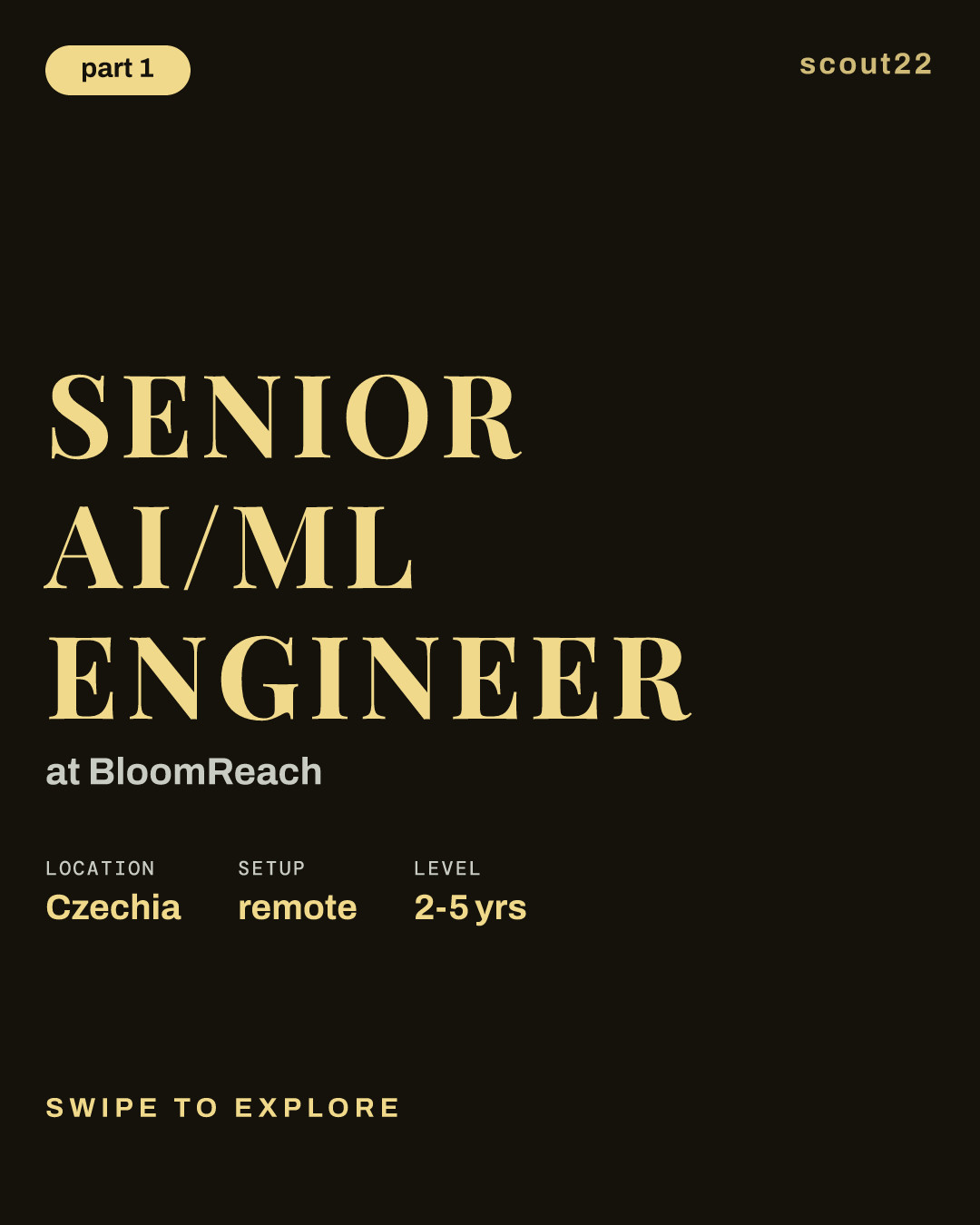 Senior AI/ML Engineer at BloomReach
