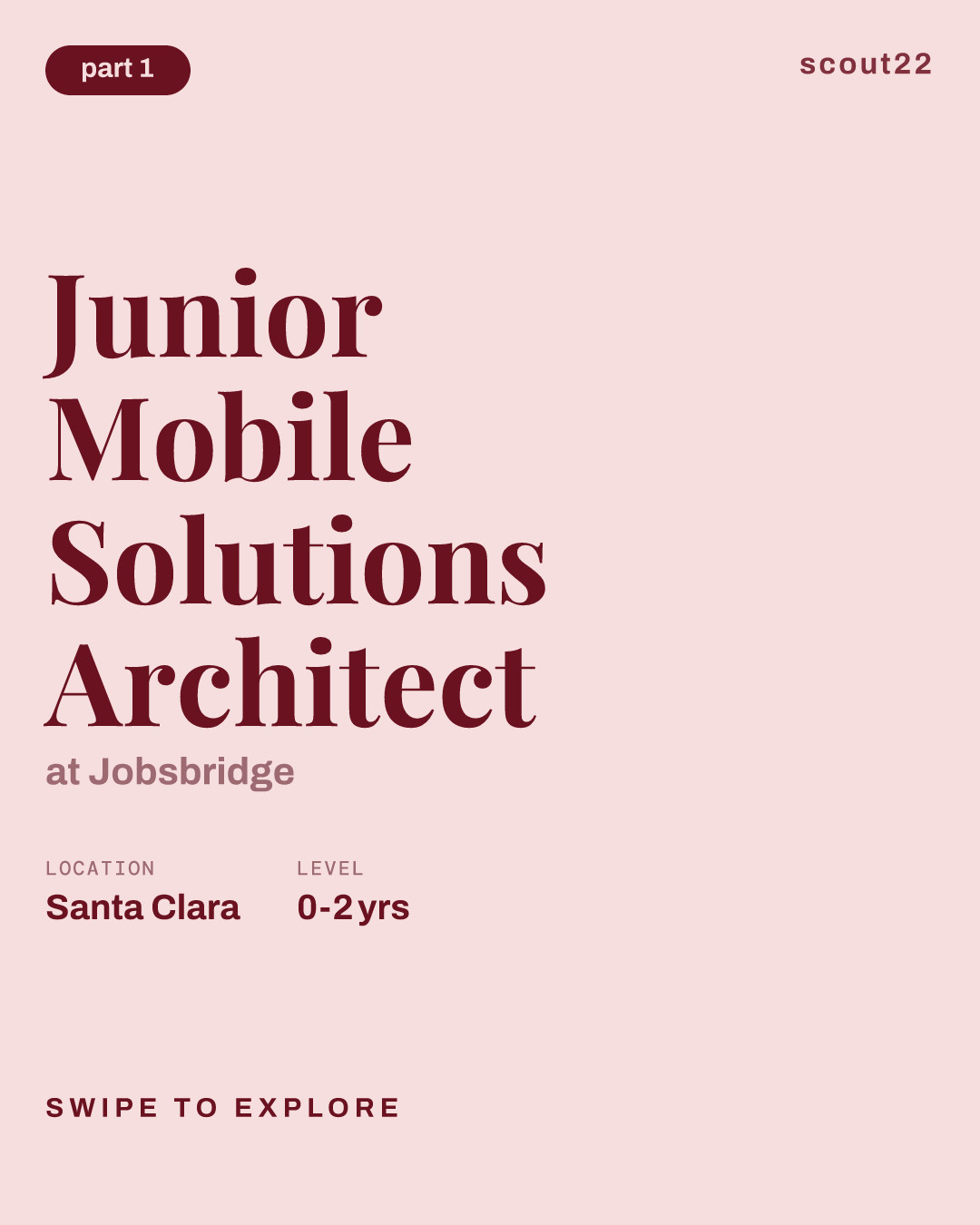 Junior Mobile Solutions Architect at Jobsbridge