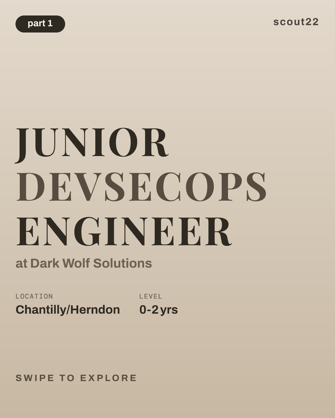 Junior DevSecOps Engineer at Dark Wolf Solutions