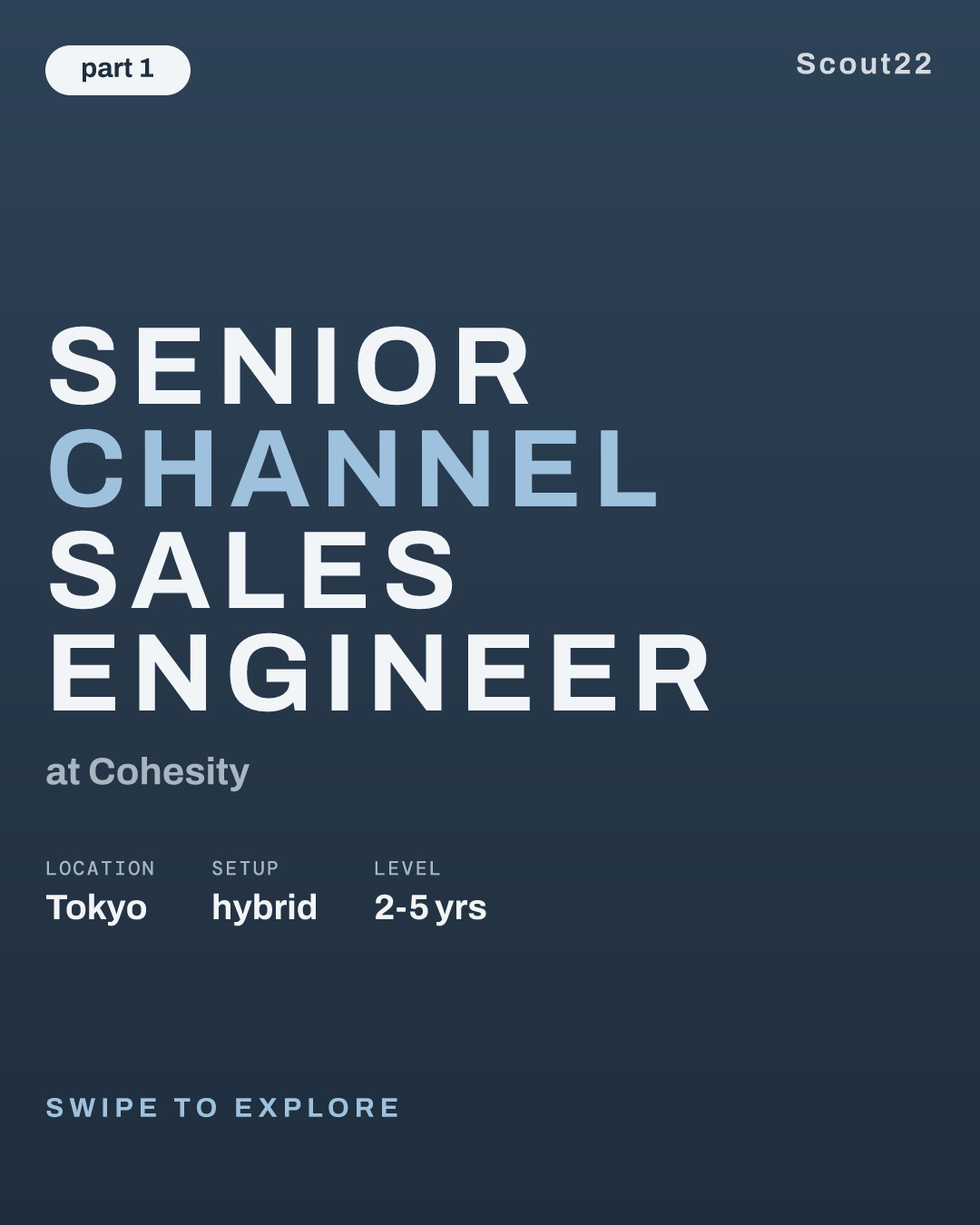 Senior Channel Sales Engineer at Cohesity
