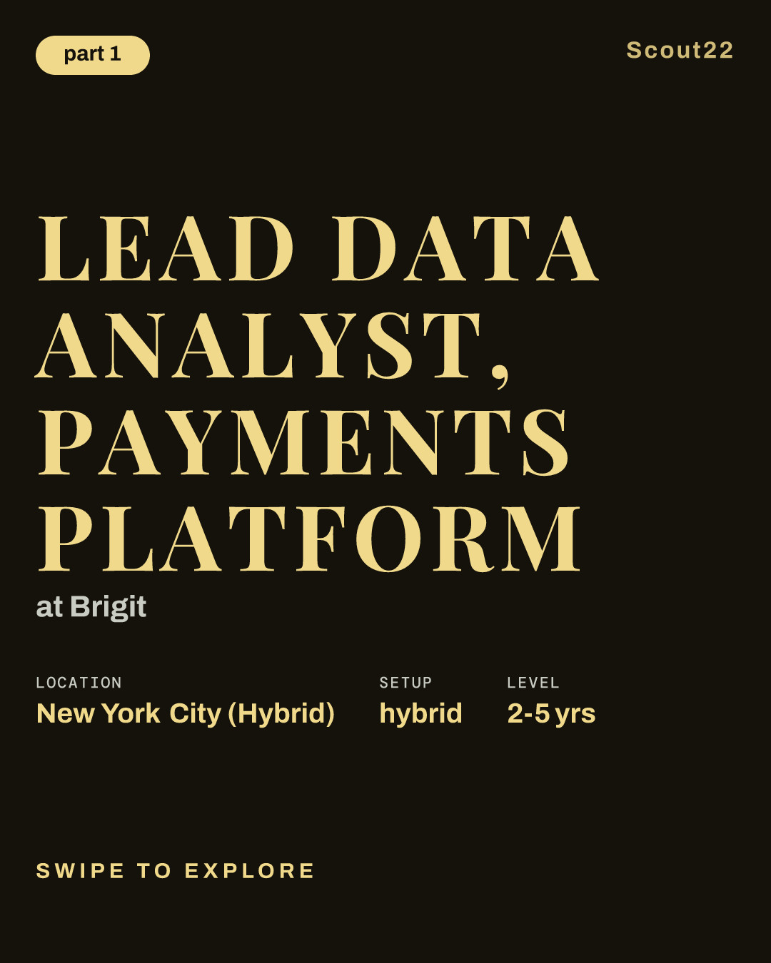 Lead Data Analyst, Payments Platform at Brigit