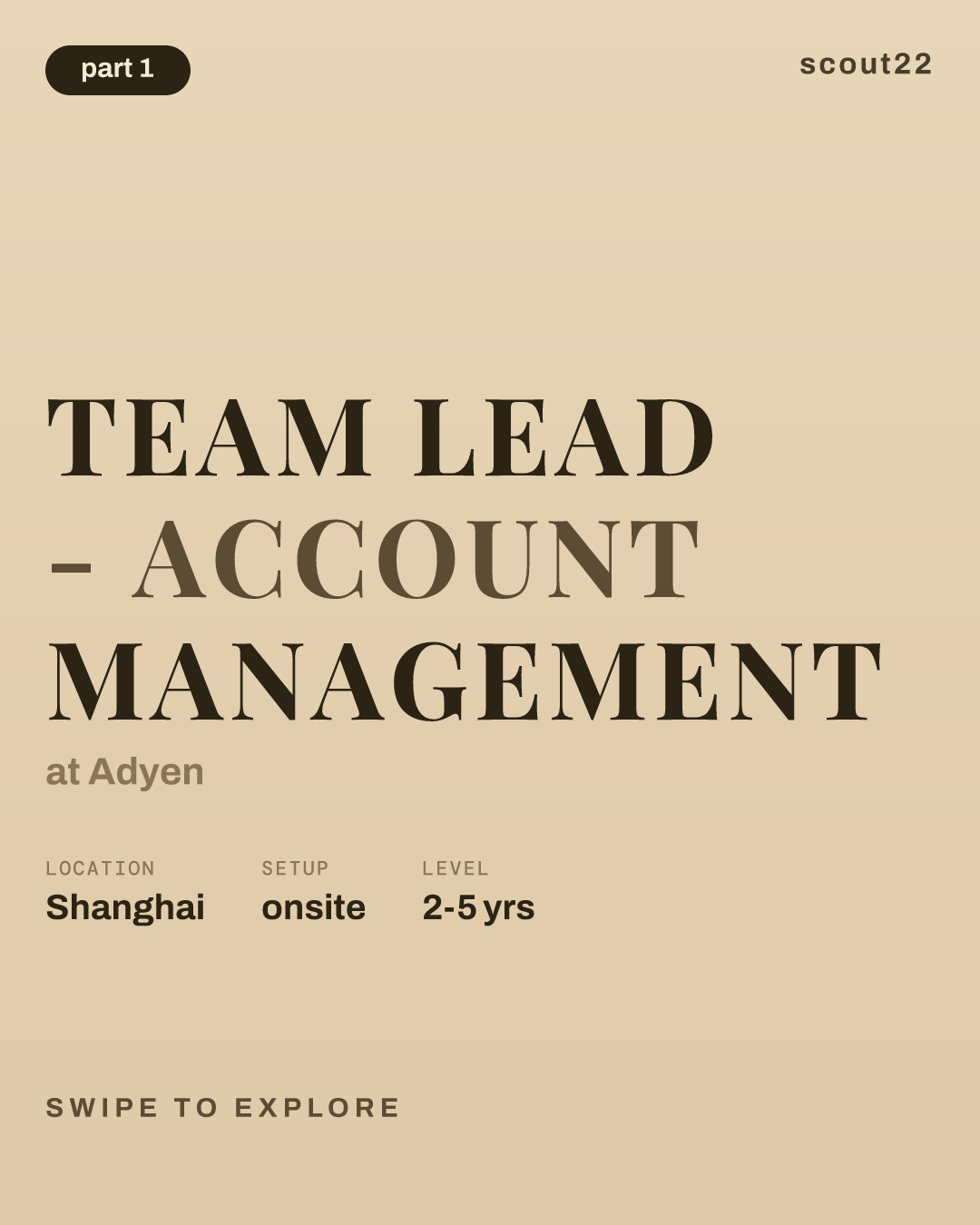 Team Lead - Account Management at Adyen