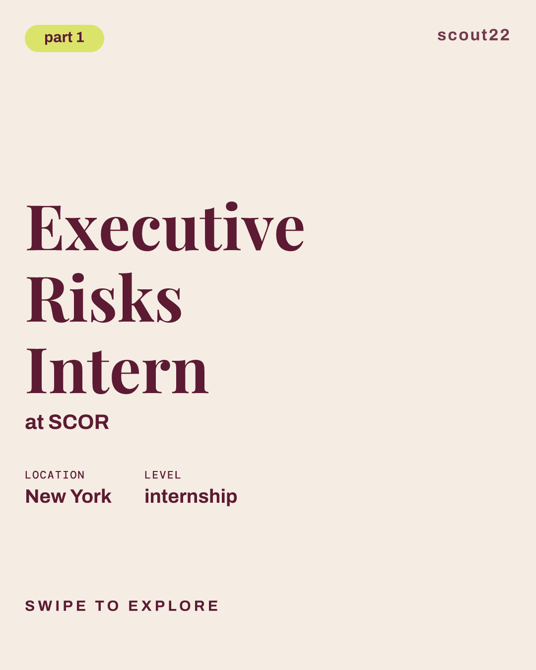 Executive Risks Intern at SCOR