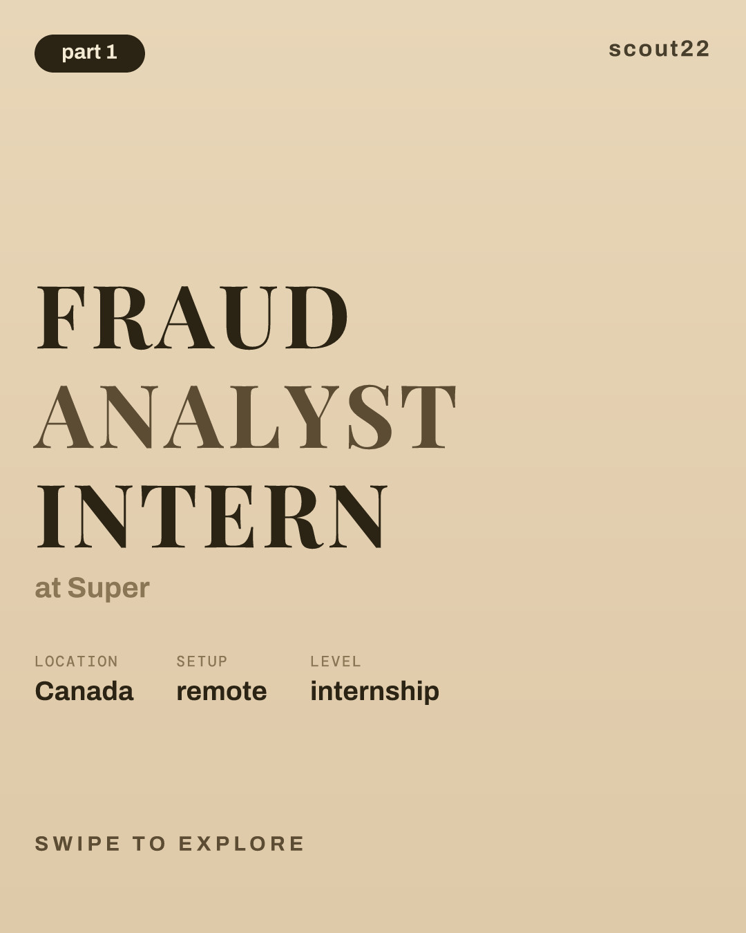 Fraud Analyst Intern at Super