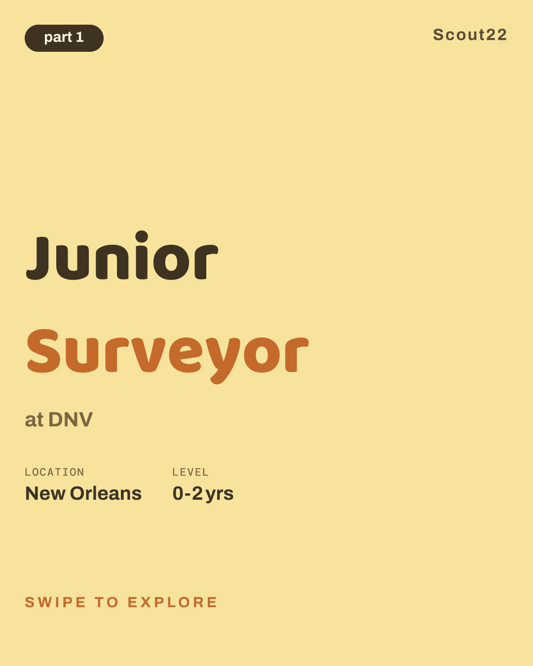Junior Surveyor at DNV